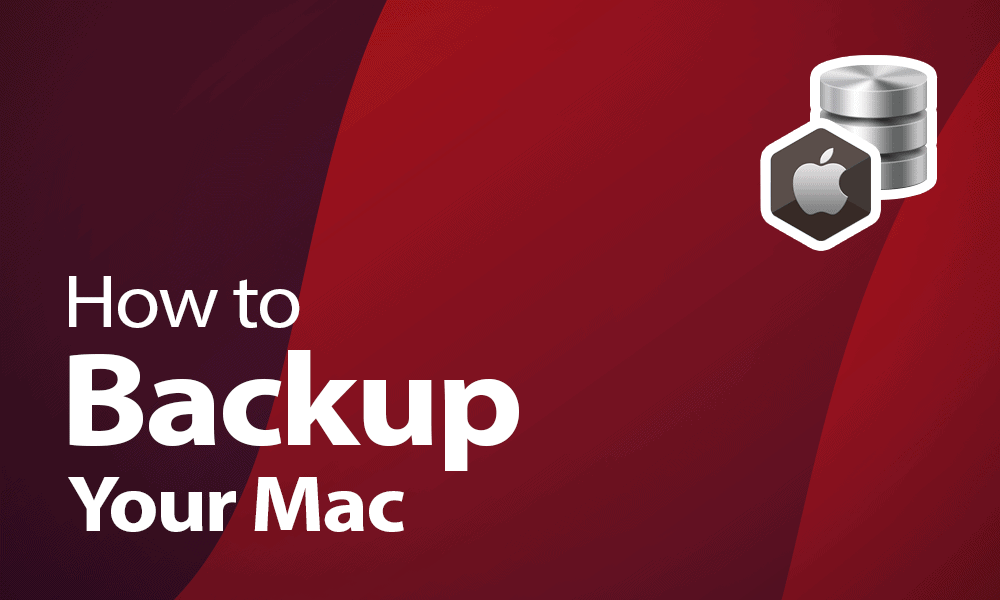 How to Backup Your in 2023 With and More