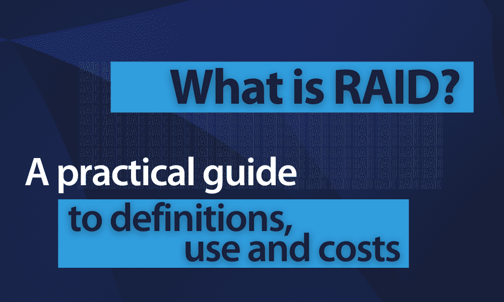 Raid - What does raid mean?