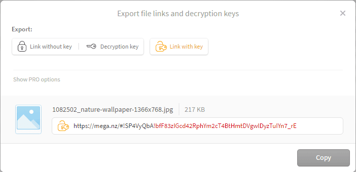 mega link decryption key bypass