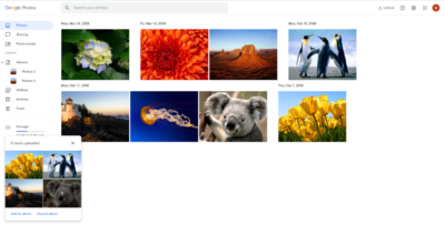 find duplicate pictures in google photos