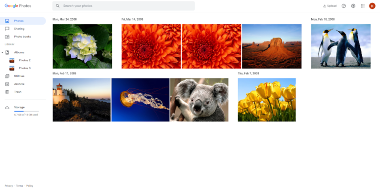 find and delete duplicates in google photos
