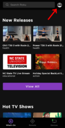 How To Add Channels To Roku in 2023: Endless Entertainment