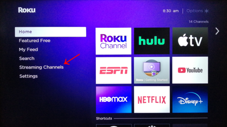 How to Use Google Play On Roku: Complete Guide in 2021