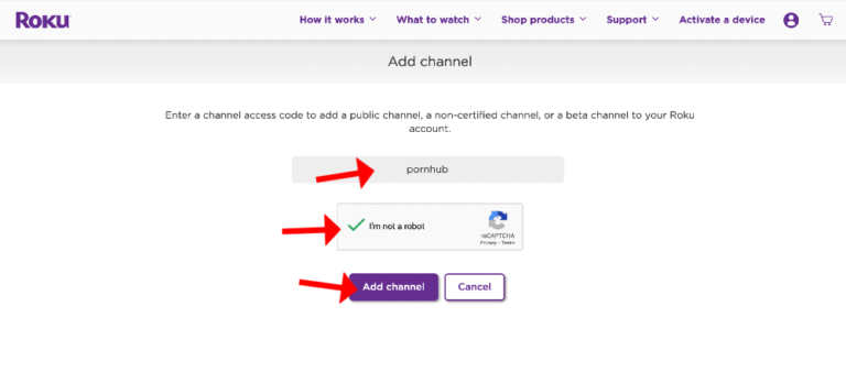 How To Watch Porn On Roku Technicalmirchi