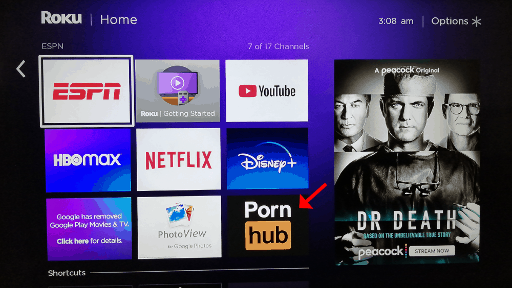 Porn Channal - How to Watch Porn on Roku in 2024 [Hidden Adult Channels List]