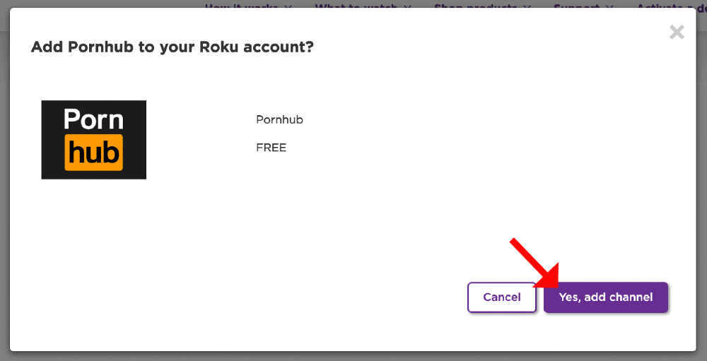 1000px x 511px - How to Watch Porn on Roku in 2023 [Hidden Adult Channels List]