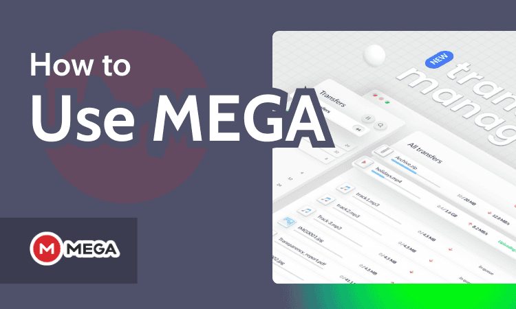 How to Use MEGA