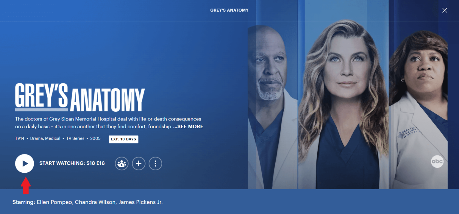 How & Where to Watch Grey’s Anatomy From Anywhere in 2023