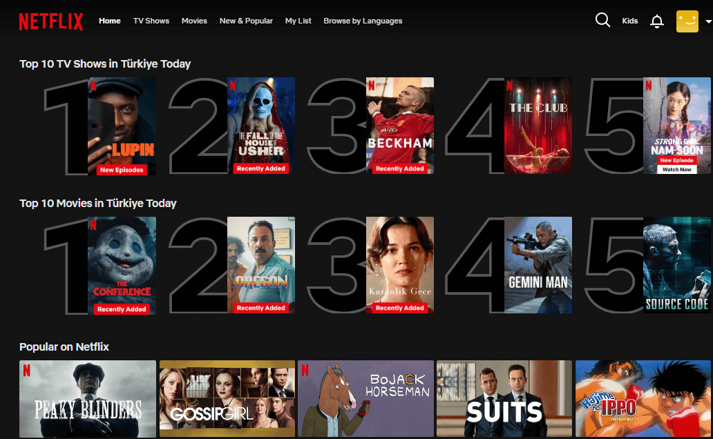 Netflix is raising the price,get netflix with a Brazil subscription because  of cheap price