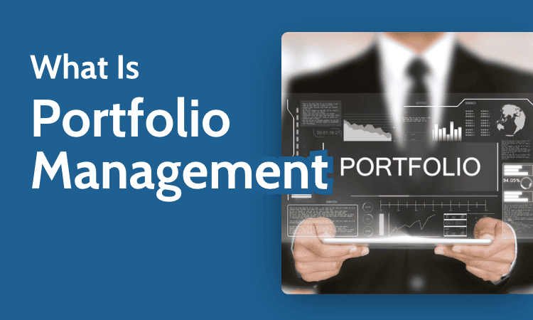 what is portfolio management