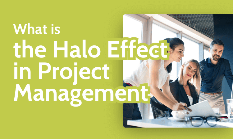 What is the Halo Effect in Project Management