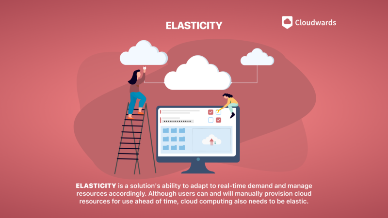 elasticity