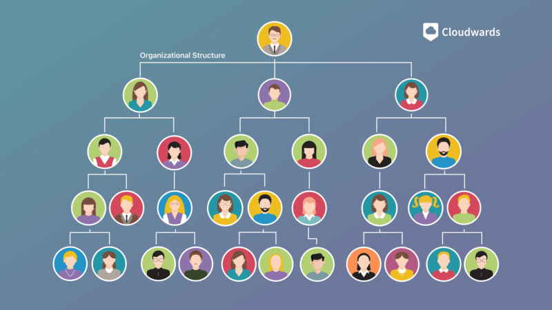 organizational structure