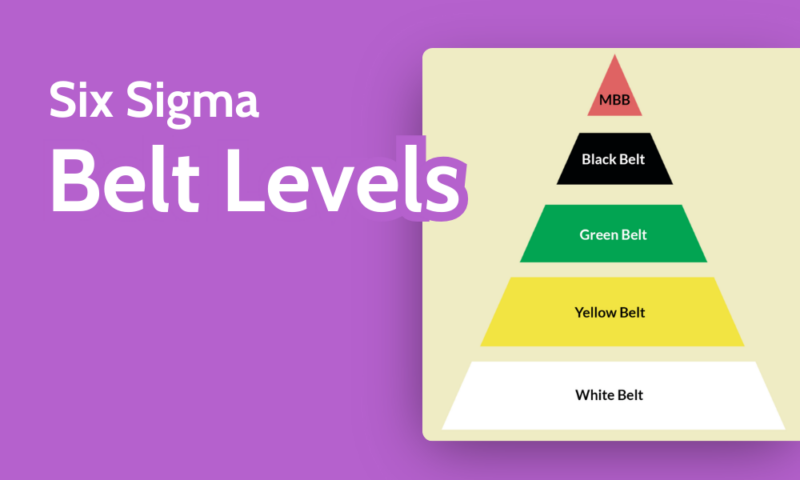 Six Sigma Belt Levels