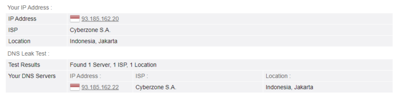 Surfshark DNS leak test results