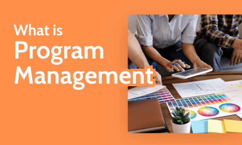 What is Program Management