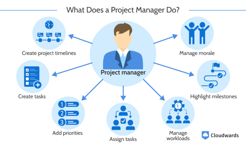 project manager